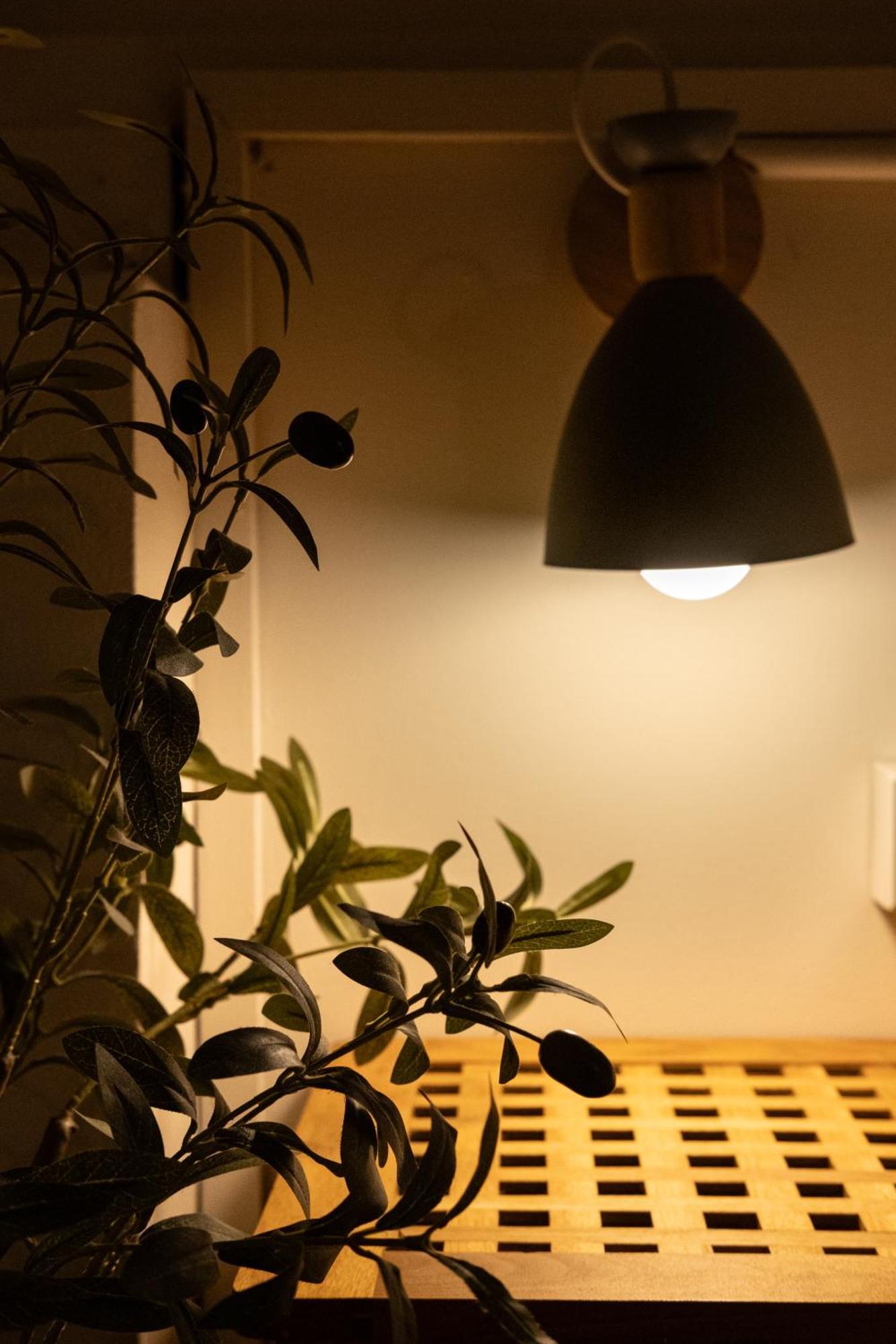Big Tree Boutique Hotel Тау Экстерьер фото