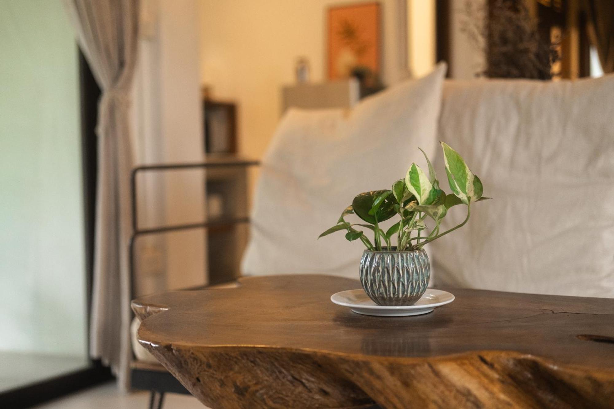 Big Tree Boutique Hotel Тау Экстерьер фото